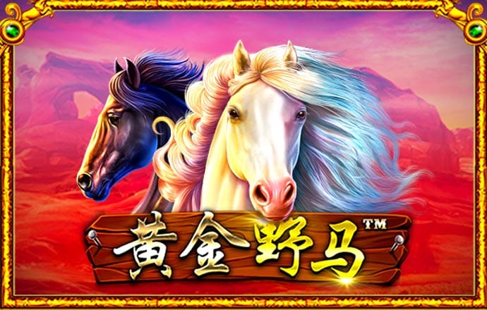 币coinpa旗舰厅官方网站官网下载 最新版